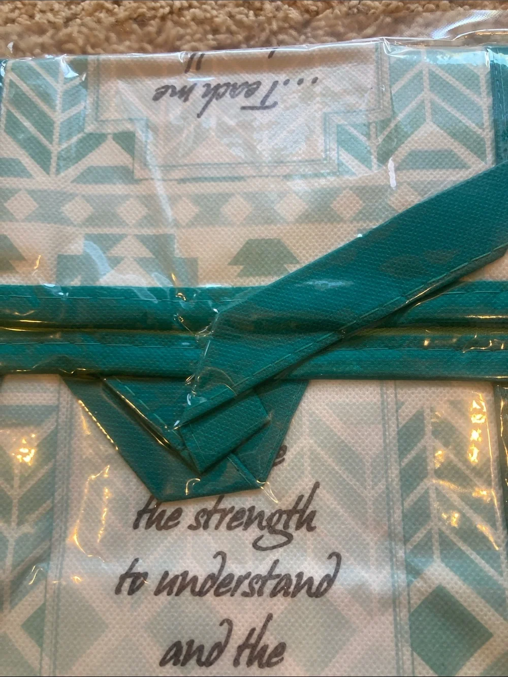 Source Unknown Teal and White Patterned Storage Tote